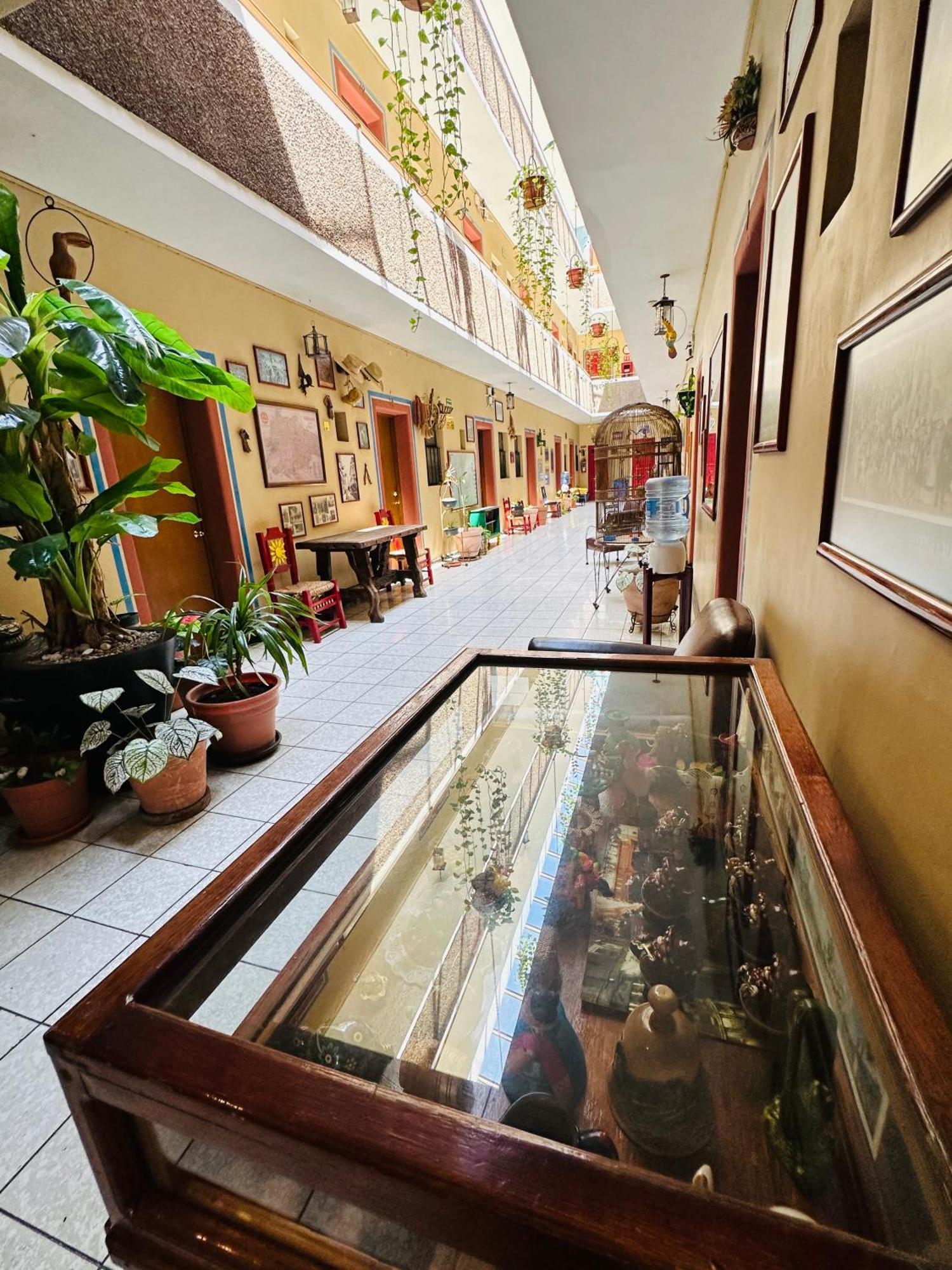 Hotel Janeiro Guadalajara Eksteriør billede