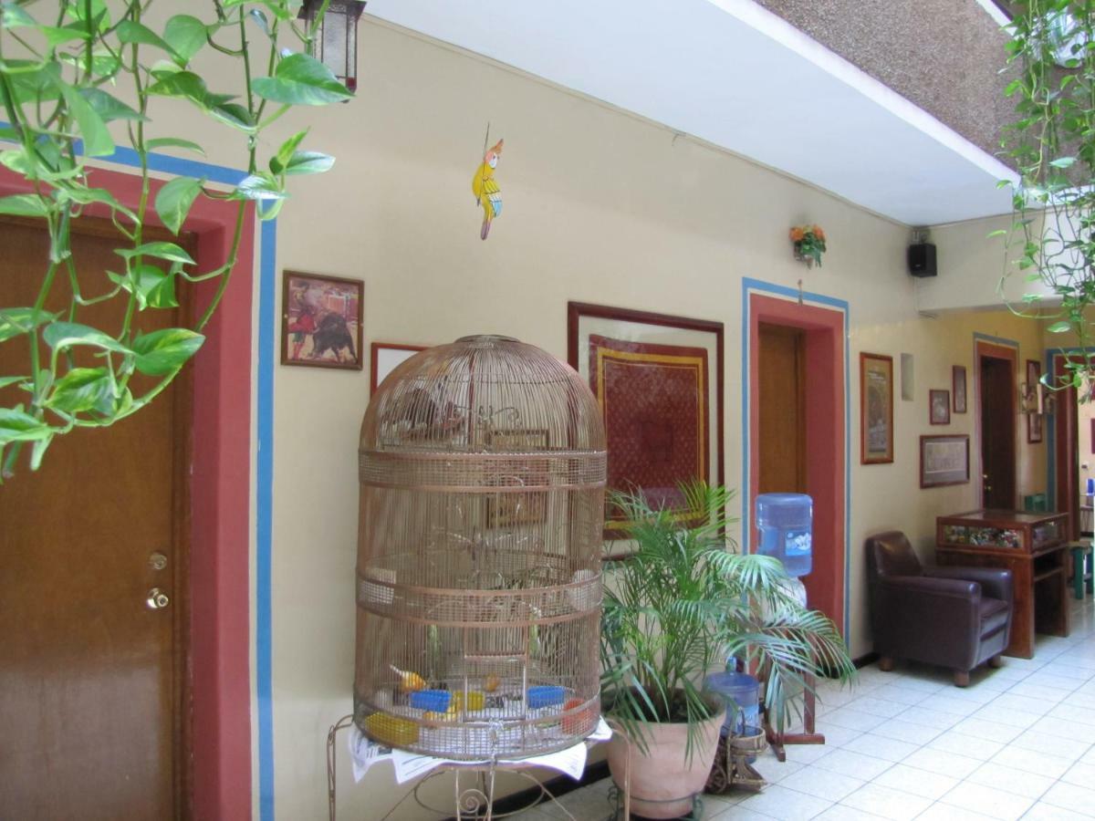 Hotel Janeiro Guadalajara Eksteriør billede